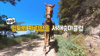 (K승마) 임도의 짜릿함! 서해승마클럽! screenshot 5