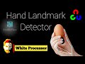 Hands Landmark Detector with Mediapipe and OpenCV | Python | White Processor