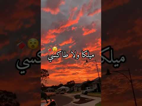 ميلكا ولا طاكسي موهيم نطرطق راسي تصميم فيديوهات راي شاشة سوداء ماله حل الشعب الصيني