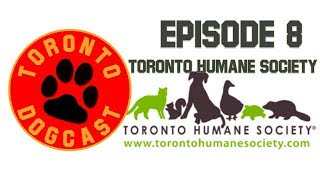In this episode we talk about (time stamp): - challenges facing
toronto humane society 2019 (2:48) accessibly to affordable vet care
(3:28) affordable...