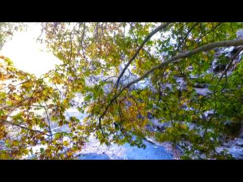 مسعود فرهنگ غروب پاییز ۹۸ 