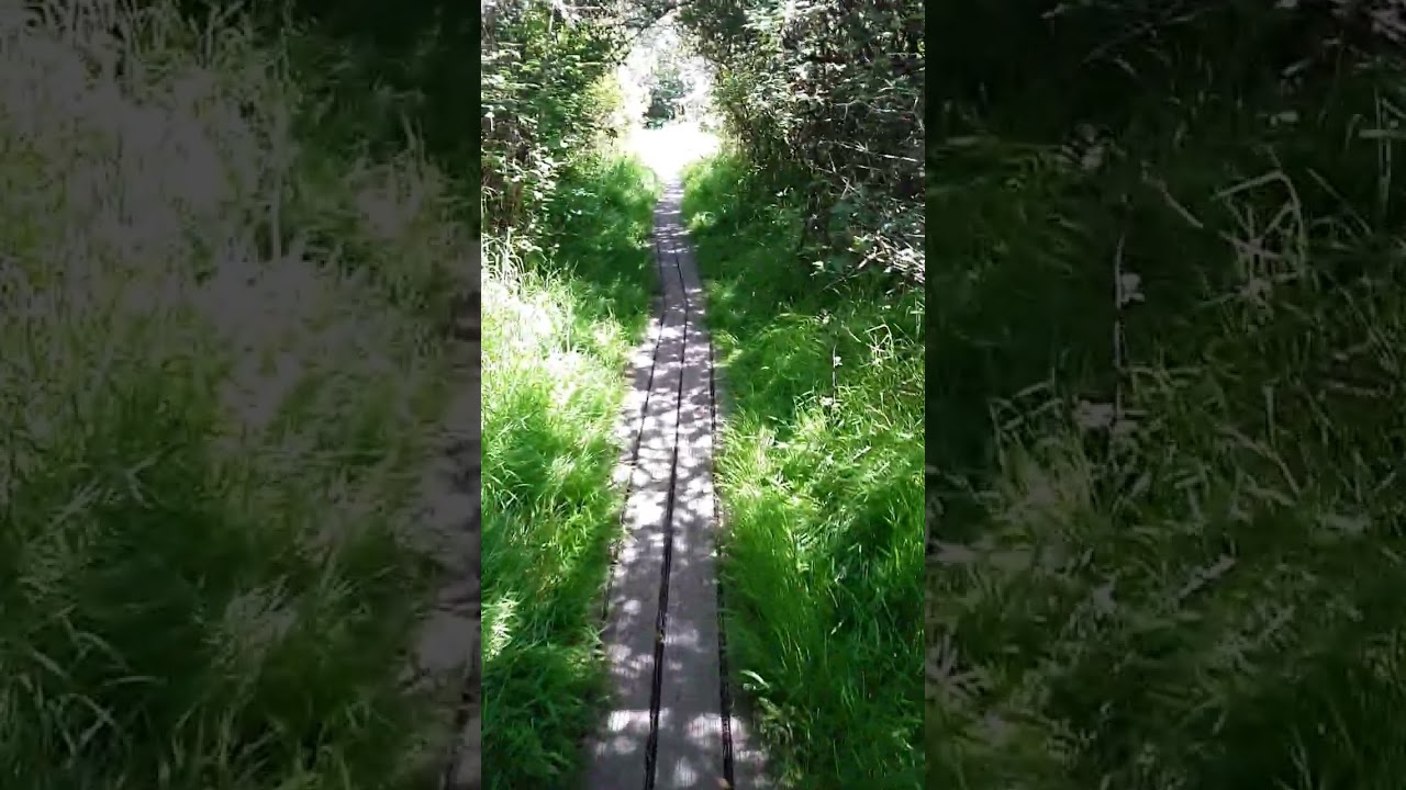 the beginning of the hobbit trail at Iverson spit preserve camano island