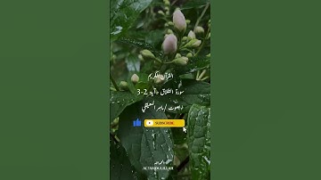 سورة الطلاق الآية 2-3 بصوت خاشع/ماهر المعيقلي#القرآن_الكريم #quran #religion #surah #الله #المصحف