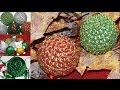 Bolas de Natal Glitter Ursinho Lantejoulas e Corda - ESPECIAL DE NATAL