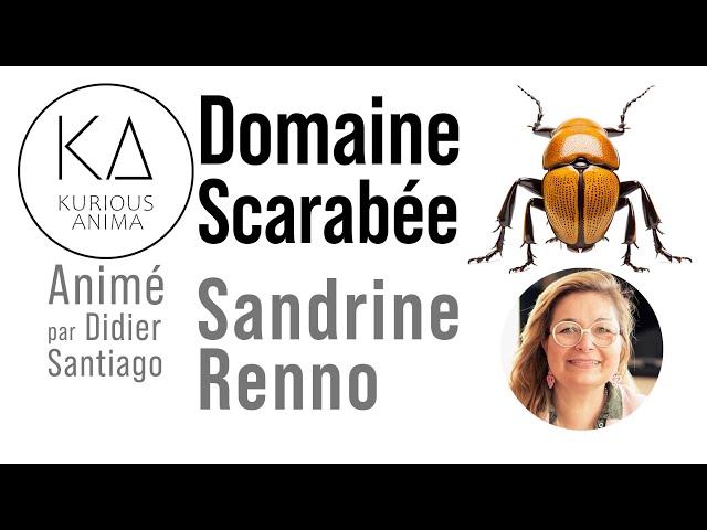 Domaine Scarabée avec Sandrine Renno