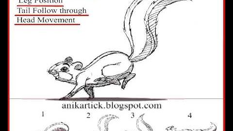 2D Animation - Squirrel Run Cycle Animation