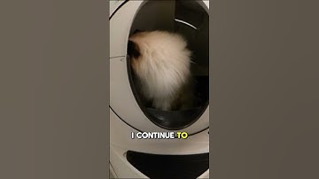 Old School Cool: Litter Robot Open Air