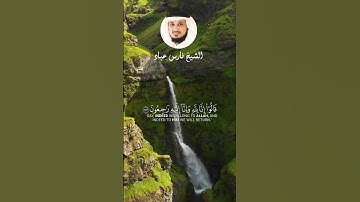 الشيخ فارس عباد #اكسبلور #explore #قرآن #قران_راحة_نفسية #لايك #قران_كريم  #سورة_البقرة
