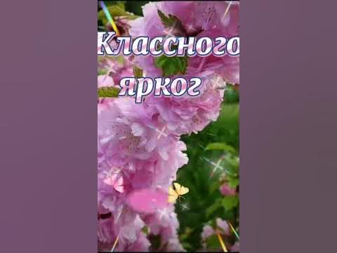 Самого Доброго Утра !!! - YouTube