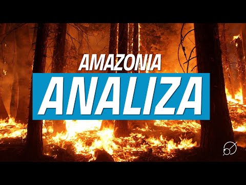 Wideo: Brazylia Odrzuca 20 Milionów Dolarów Na Pomoc W Zwalczaniu Pożarów Amazonii