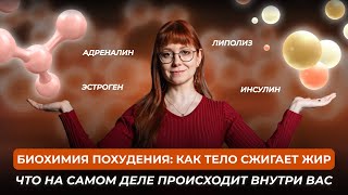 видео: БИОХИМИЯ похудения | Как работают ГОРМОНЫ | Почему одни ХУДЕЮТ, а другие - нет? картинка: БИОХИМИЯ похудения | Как работают ГОРМОНЫ | Почему одни ХУДЕЮТ, а другие - нет?