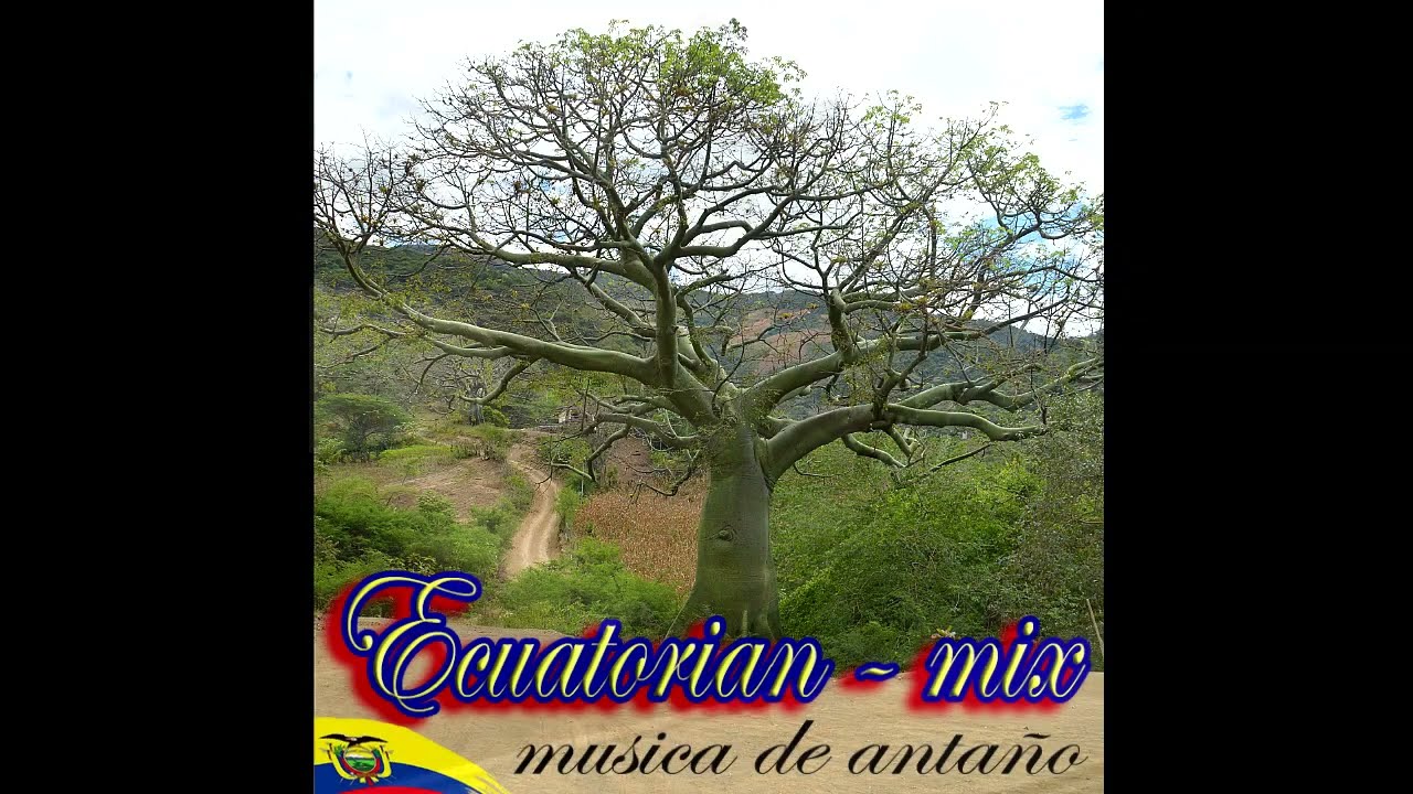 MIX ECUATORIAN musica de antaño V 1