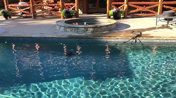 LED Lights Problems Syncing