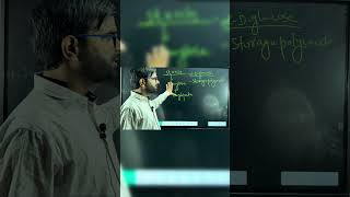 I Starch I Storage polysaccharide I Amylose and amylopectin