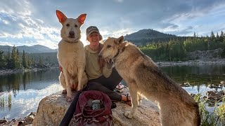 Backcountry Exploring & Acclimation To Mini Skoolie Life - Podcast by Chris Travels 4,546 views 9 months ago 47 minutes