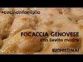 Focaccia genovese con lievito madre #cucinainfamiglia