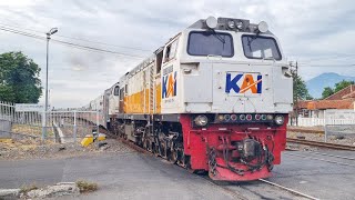 THE LONGEST PASSENGER TRAIN IN INDONESIA IS SAYED TO HAVE TWO CONDECTORS AT ONCE!