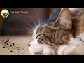 Music to Relax Cats - Peaceful Harp Music and Water Sounds