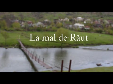 La mal de Raut - Rep. Moldova
