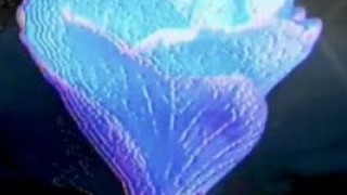 Ivoxygen - Plateau (Angst Remix)