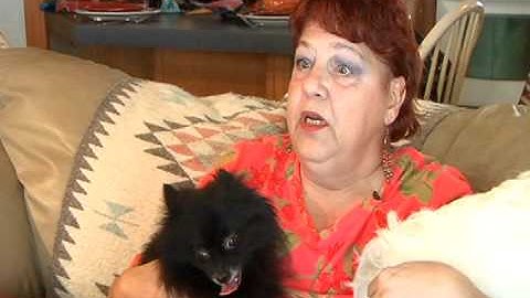 Are your dog treats poisoning your pups?