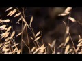 اسرائيل تسرق الموارد الفلسطينية