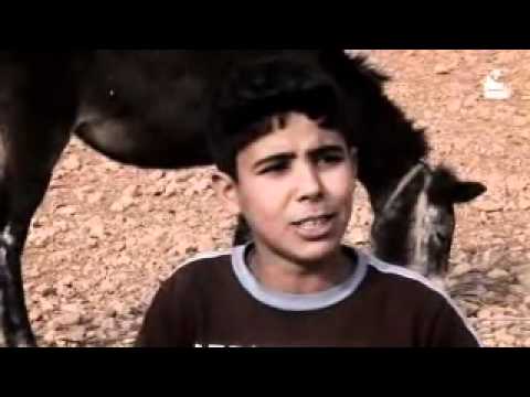 حبك بقلبي هبش بهبش