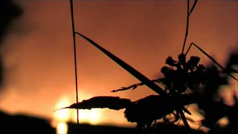 YouTube New Widescreen Test Settings - h264 hdtv 1280px  X  720px   - Upload