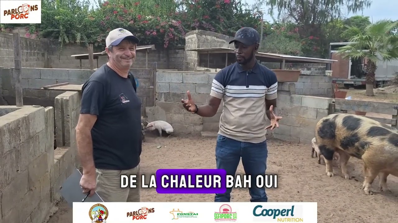 La Ferme des 3 Baobabs Suite et Fin