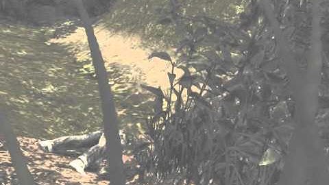 How To Get Out Of Village - Mw3 - Not Patched