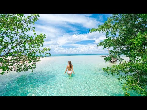 Cruise i Karibien – en drømmereise! – Apollo Reiser