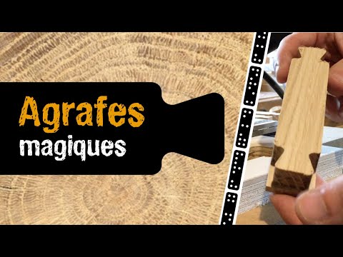 The small oak staples