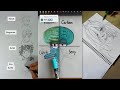 Art drawing tiktok compilations  drawing tiktok 23