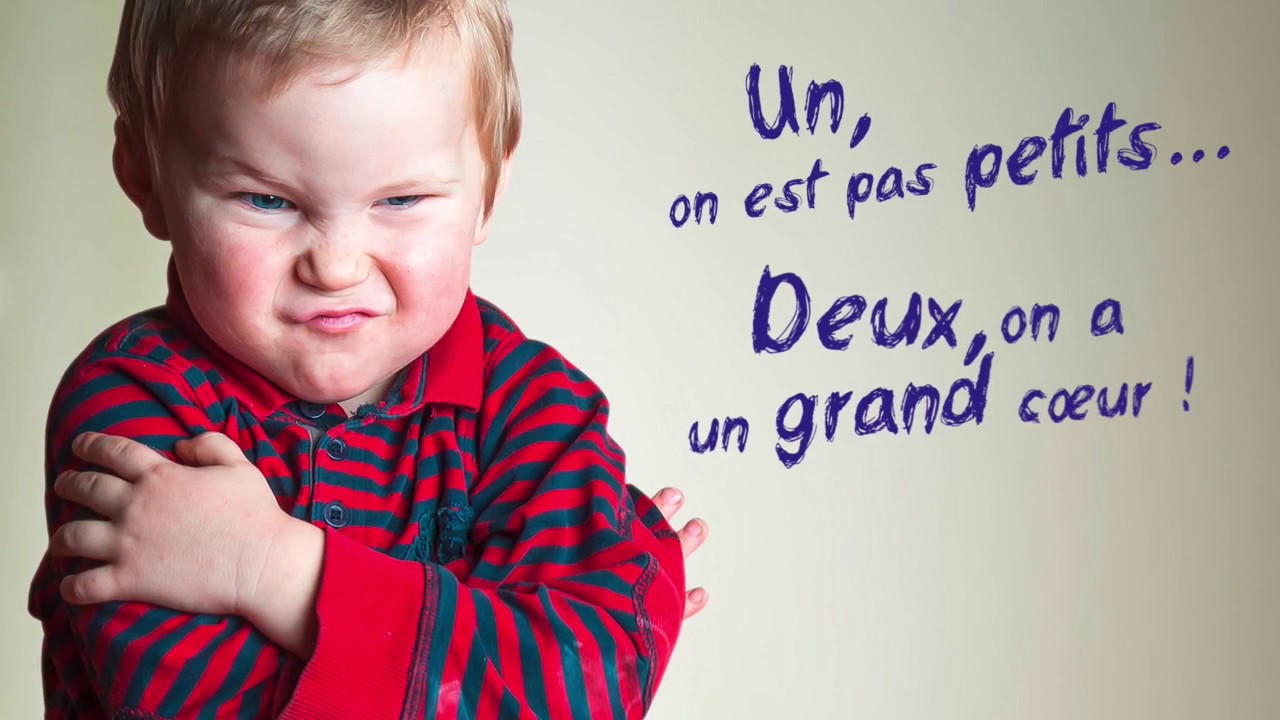 Débardeur Femme 'Je Ne Suis Pas Petite, Je Suis échantillon De Perfection' – Cadeau Fun Et Tendance