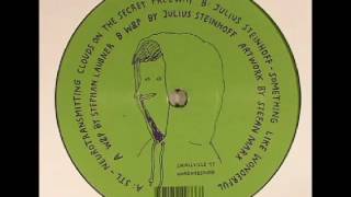 Julius Steinhoff - Something Like Wonderful
