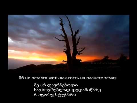 ნაშიდი - მონატრებული ადამიანი რჩება გაუცხოვებული