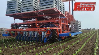 : Ferrari Rotostrapp Transplanter  Cubic blocks