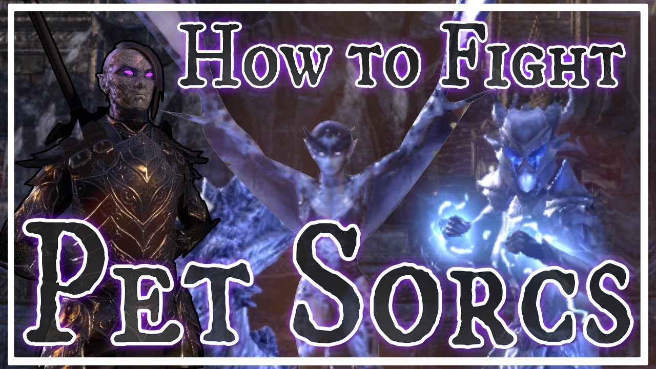 How To Fight Pet Sorcs in Cyrodiil