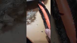 Робот-пылесос Xiaomi MJSTG1. Отчёт клиенту.