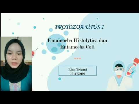 Video: Perbezaan Antara E. Histolytica Dan E. Coli