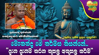 Ven Aluthgama Pannasara Thero |2023-06-03 | 11:30 AM (මොකක්ද මේ කර්මය කියන්නේ...) පොසොන් පොහොය