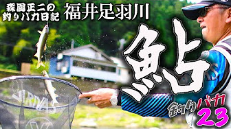 鮎釣り 関西釣りチャンネル Youtube