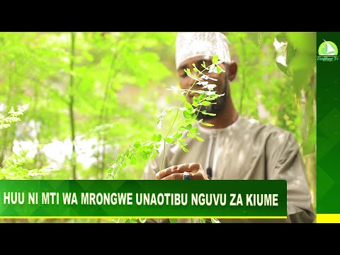 Video: Ni homoni gani inayohusika na urefu?