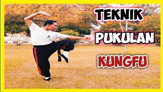 THE PUNCHING TECHNIQUES OF KUNGFU