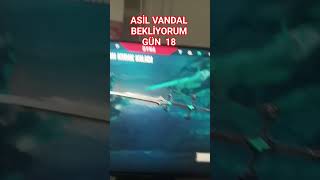 Asil Vandal bekliyorum gün 18