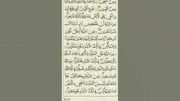 الآية 21 من سورة الروم