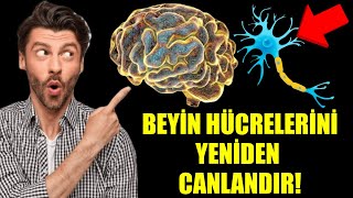 ŞOK EDİCİ BİR GERÇEK: BEYİN HÜCRELERİ KENDİLERİNİ YENİLEYEBİLİR! PEKİ AMA NASIL?