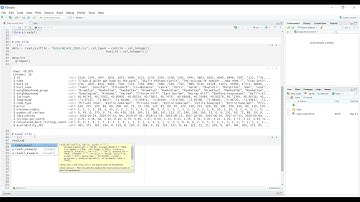 Reading an Excel File into R