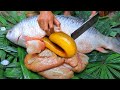 Wow! A lot of Eels In Big Fish Stomach - Fried Tasty Eels Recipes In Forest