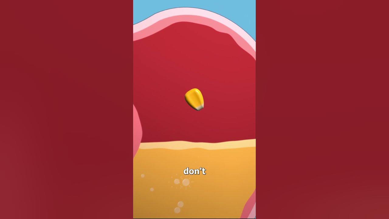 Why Corn Comes Out Whole 😷 YouTube